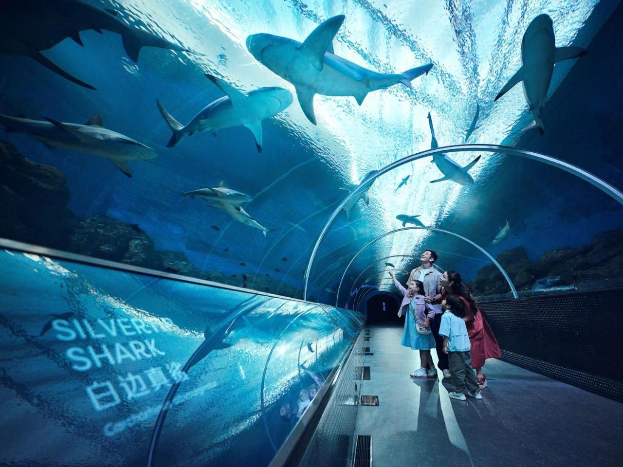 3D2N & Play Deluxe Room complimentary One Tickets to Adventure Cove Waterpark & Singapore Oceanarium
